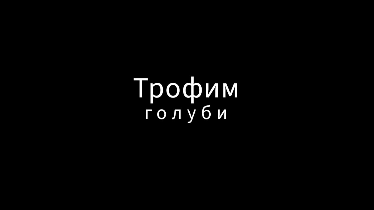 Сергей Трофимов - Голуби (кавер)