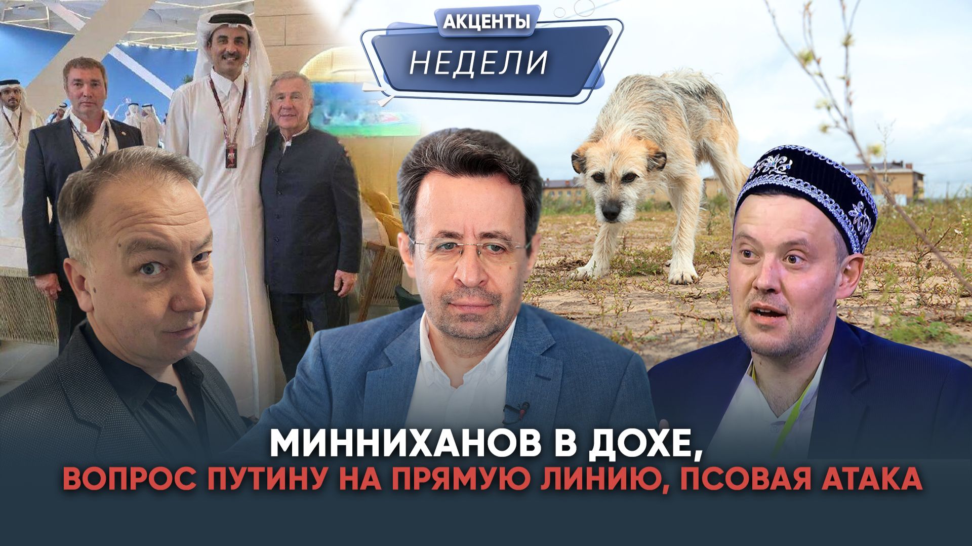 Минниханов в Дохе, атака диких собак и вопрос Путину: акценты недели