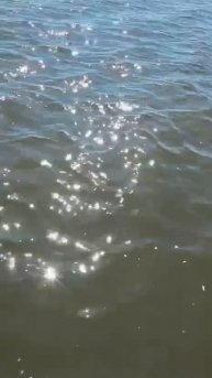 Рыбалка в ТАТАРСТАНЕ