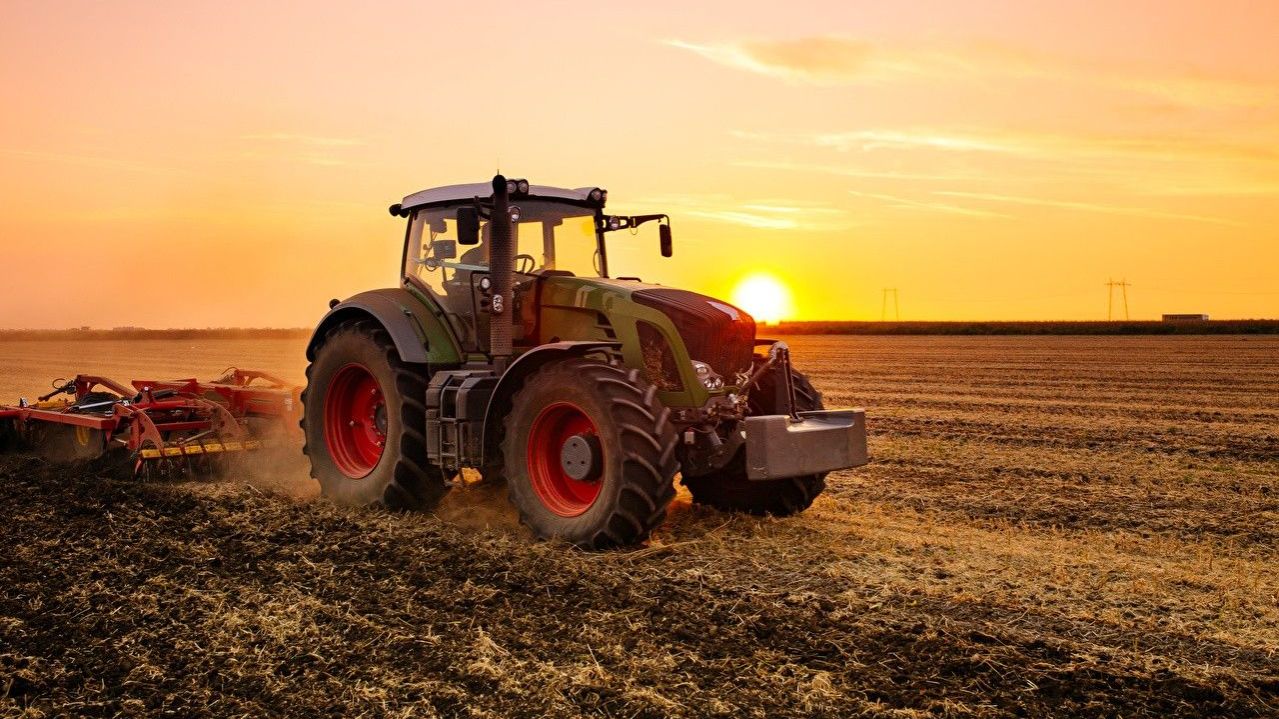 Farming Simulator 25. Тест карты Станица Старопольская. разраб Мишки-Гамми. Выпуск №9