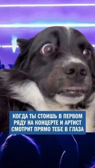 очень ЖИЗНЕННО #концерт