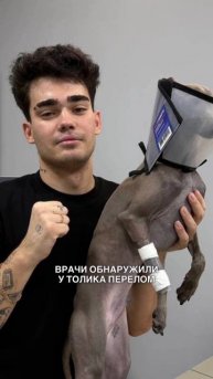 СОБАКА НАСТИ И ДАНИ ТИТОВЫХ СЛОМАЛА ЛАПУ #настяиданятитовы #титовы #блогеры #новости #животные