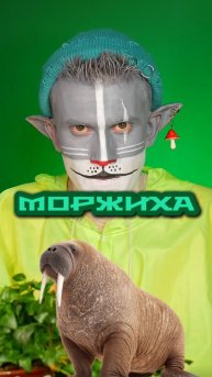 Кот Учёный и Моржиха 🦭