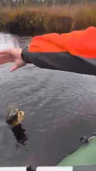 Клип @zatropheem