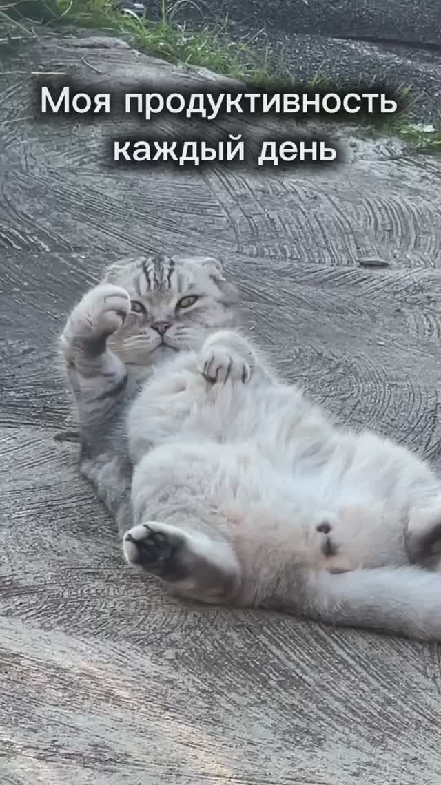 Я одна такая?😅