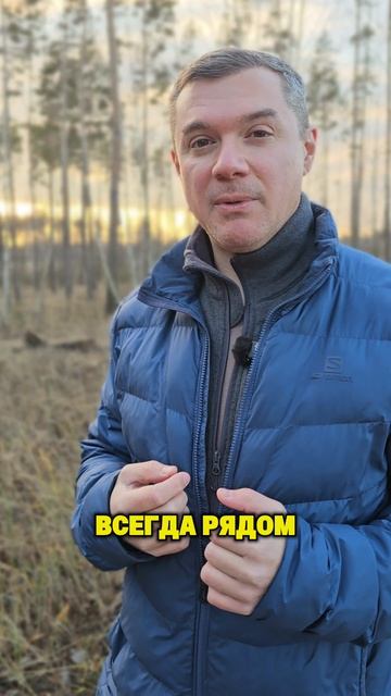 Созерцание тишины