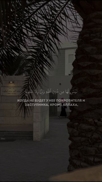 Сура 6 Аль-Анам (70). Халид ар-Румейх