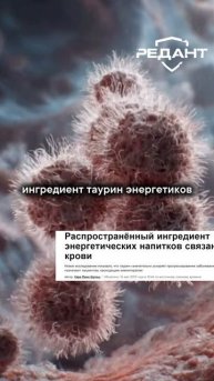 Почему_даже_1_банка_энергетика_—_это_медленный_яд!