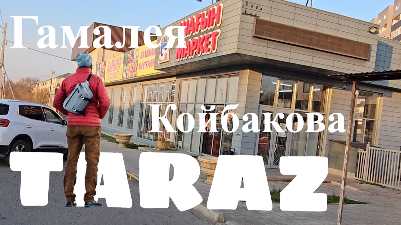 Тараз - прогулка по Гамалея и Койбакова