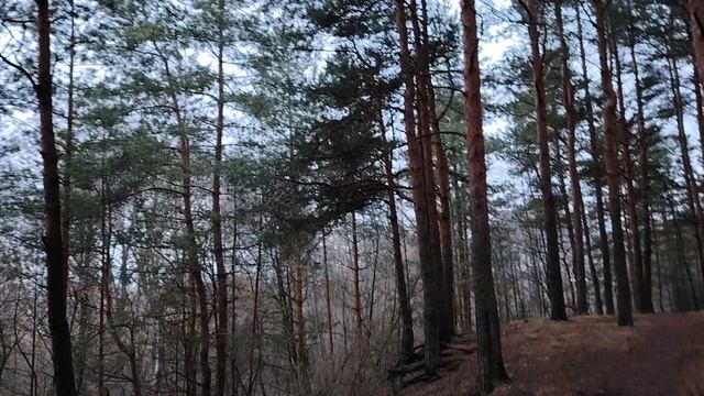 Новости в мире финансов и экономики. Начало декабря 2025 года