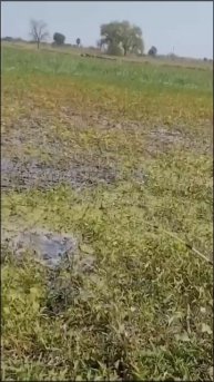 Рыбалка на болоте