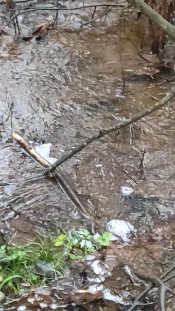 6 декабря 2025 год