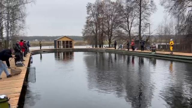 video_2025-12-06_10-52-10