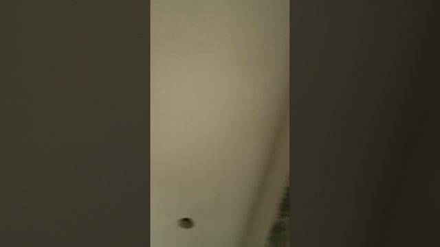 Дом в Екатеринбурге, до ЕКАД. Газ, забор, лес, карьер, вся инфраструктура - идеальная локация.