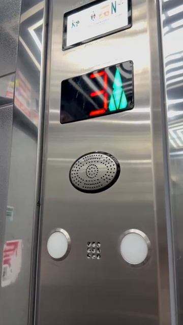 -4617258648556763605