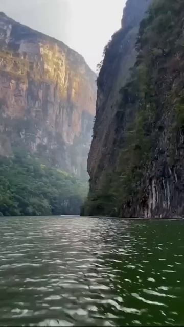 #вдохновение #motivation #love #цитатыпрожизнь #мотивацияивдохновение #рекомендации #шортс #мышление