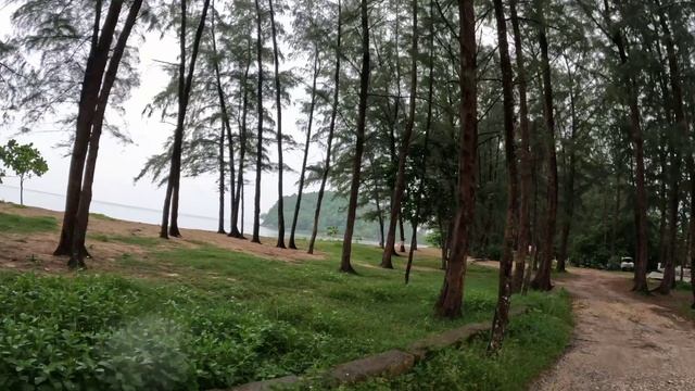 часть 8, обзор отеля, ищем байк ,пляж,магазин как  метроб пхукет 2025ю