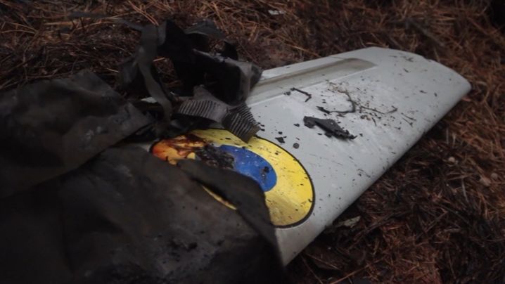 Над Брянской областью сбили еще 2 украинских БПЛА