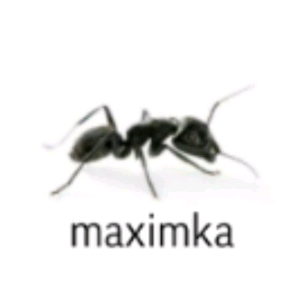 maximka
