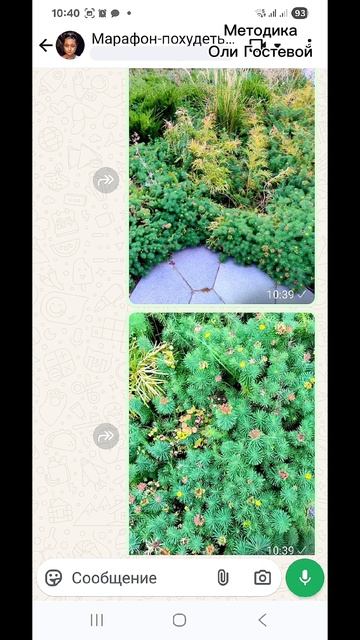 Марафон, чат ♡ Похудеть.
Марафон. Меню.