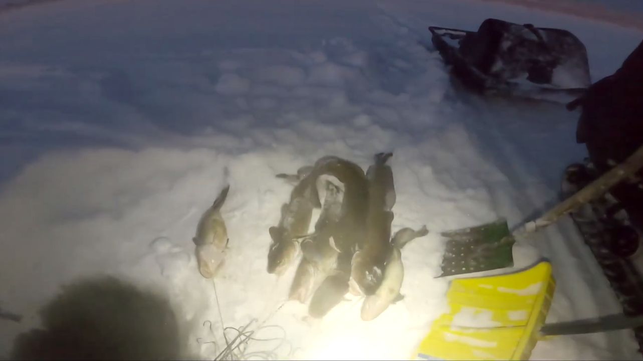 Рыбалка у чëрной дыры в -42. Восемнадцатая серия.