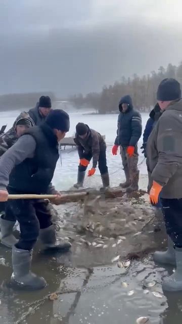 Клип @zatropheem