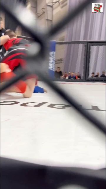 Рыжуля сегодня с утра пораньше болел за своего Большого Друга Егора 🥊❤️😻