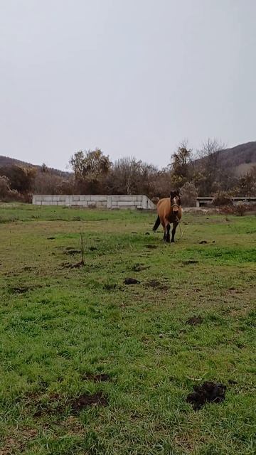 Какой красавчик