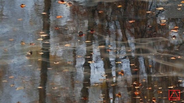 Св. Кассиан Римлянин Десять собеседований отцов ч39