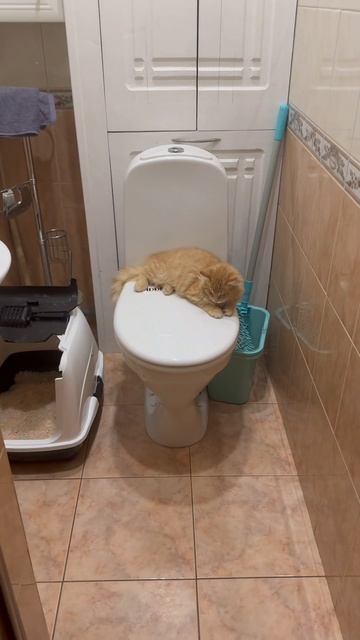 Вход в МЖ заблокирован