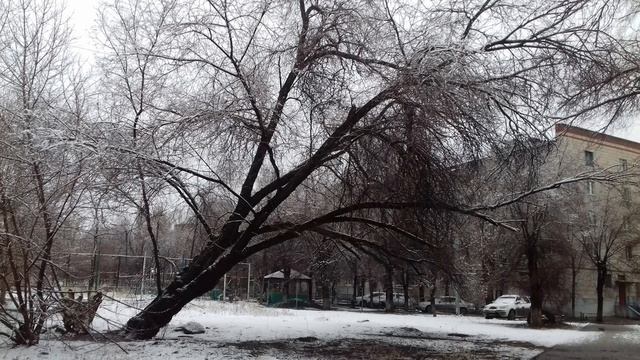 Марина Урусова. По дороге на работу