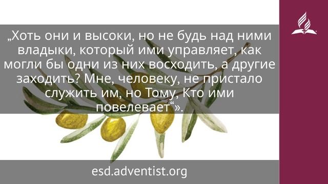8 декабря 2025. Вторая заповедь. Под сенью благодати | Адвентисты