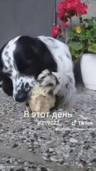 Вкусно...)))