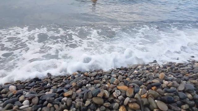 11.08.2024/Тёплое сегодня море,божественное/ Имеретинка