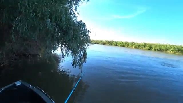 ТРОФЕЙ ВЛЕТЕЛ НА ЗАКАТЕ. РЫБАЛКА НА САЗАНА. На донку и червя, жмых, макуха