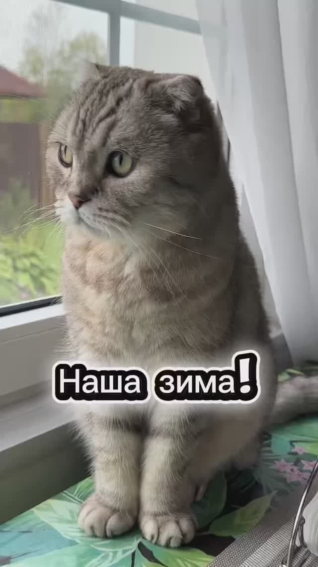 Дайте снега😭