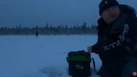 Первый лёд 2025-2026. Рыбалка в полярную ночь на Кольском.