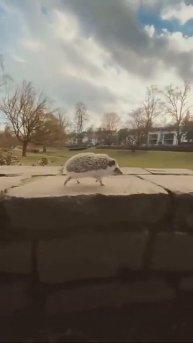 как я бегу домой после школы #вреки #рек