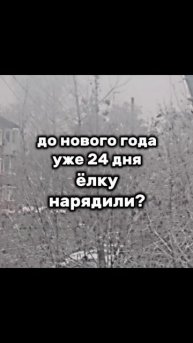 ага ага🌲🤫 #merrychristmas