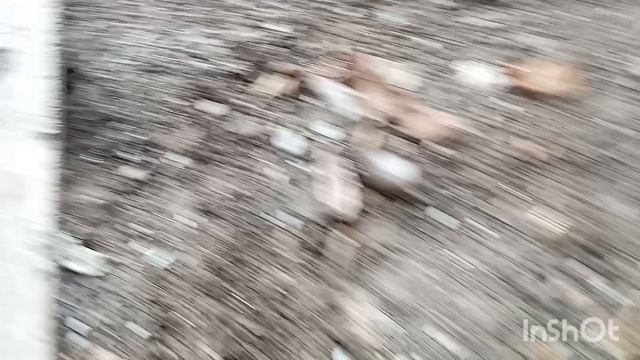 ✅МЫ НА ДАЧЕ. СОЖГЛИ МУСОР. НАВЕЛИ ПОРЯДОК ПОД НАВЕСОМ.Суббота 06.12.25.