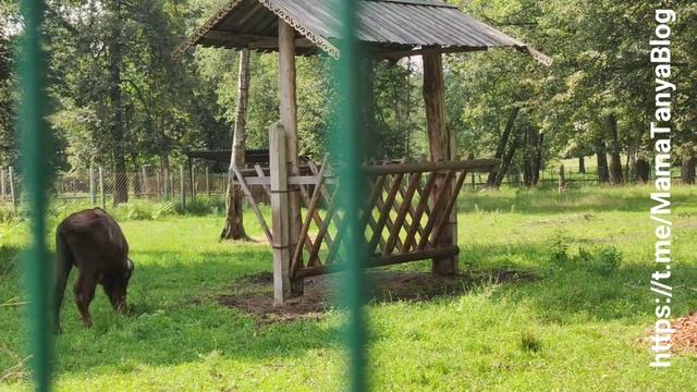 Приокско-Террасный государственный природный биосферный заповедник (Зубровник)