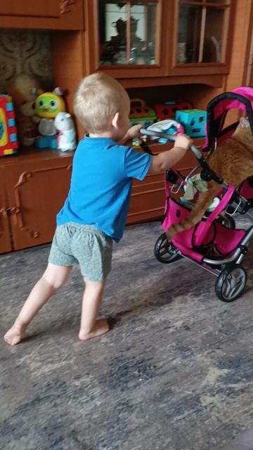 Катаем тигра в коляске