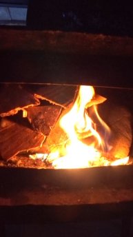 ✨ Огненное волшебство таежной ночи ✨