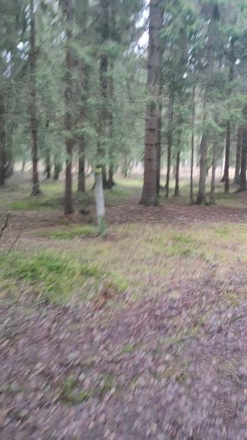 Когда же придёт зима? / 07 декабря 2025 года / Снега нет и не пахнет даже зимой