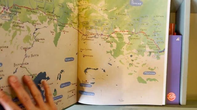 Куда сходить в Санкт-Петербурге? Необычные места, кофе и пёсики