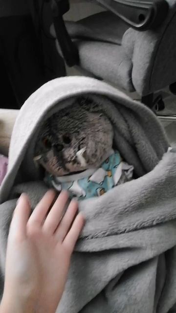 я теперь не Reborn_TV🤔🤔