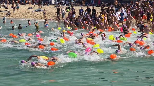 старт заплыва в открытой воде