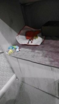 мини обзорчик😽