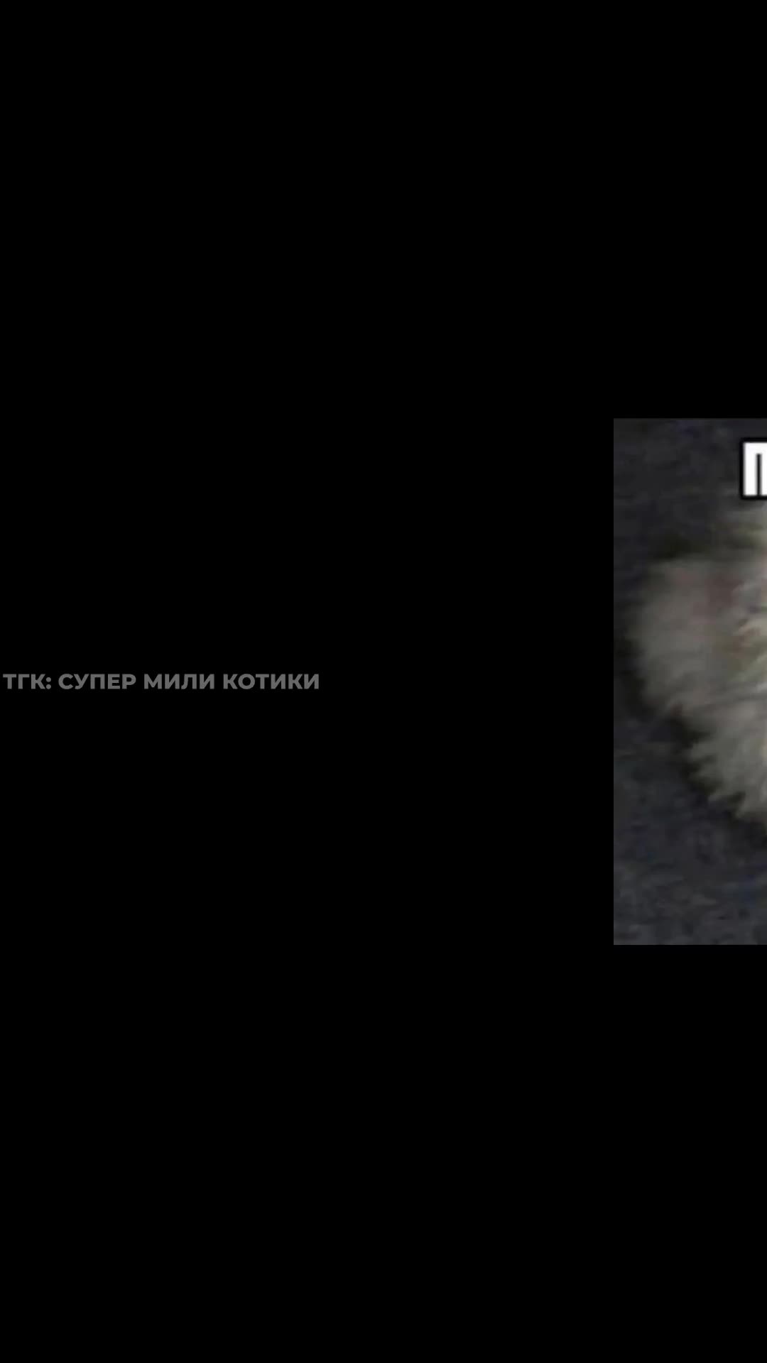 supermilikotiki_141.mp4