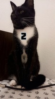 Калипса
#логика #подумать #размышлять #длядетей #загадки #думать #развитеЕ #развлечение #игрыдлядете